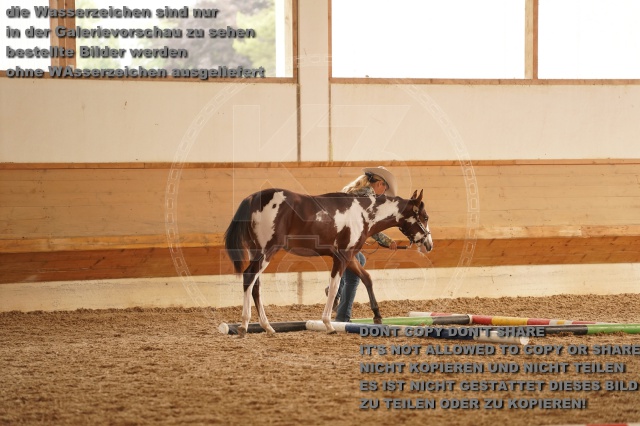 s_A_901226.JPG